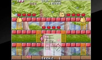 switch游戏《妖精物语 Arcade Archives Rod Land》英文版1.0.1金手指下载