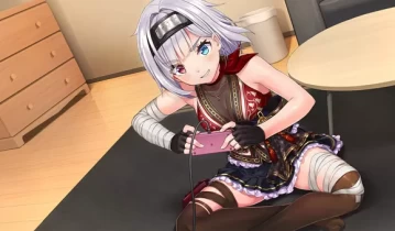 switch游戏《NinNinDays2》中文版nsp下载