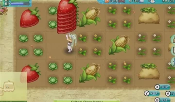switch游戏《符文工房4 特别版》v1.0.2金手指下载