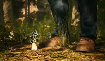 [单机游戏]《羊肚菌狩猎游戏 Morels The Hunt》中文版下载