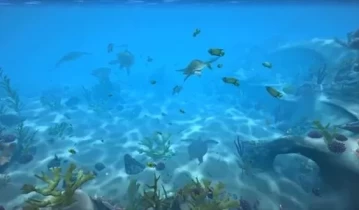 switch游戏《水族馆电视Aqua TV 》英文版NSP下载
